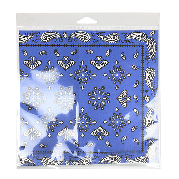 Headerbags 21x20.5cm with Protective Closure (100 pieces) [HB88SPC]