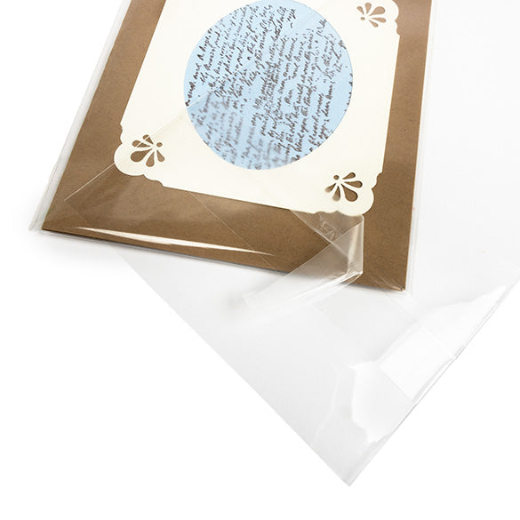 Headerbags 11.7x14.6cm with Protective Closure (100 pieces) [HB54PC]