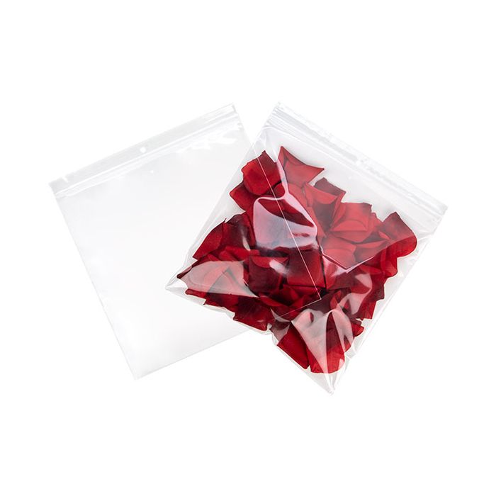 Grip Seal Bags with Hang and Vent-hole 23x23cm Crystal Clear PP 50 micron (100 pieces) [ZR99V]