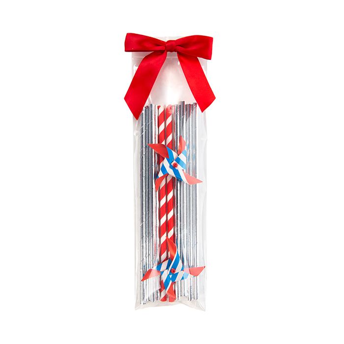 Grip Seal Bags with Hang hole 7.5x25.5cm Crystal Clear PP 50 micron (100 pieces) [ZR310]