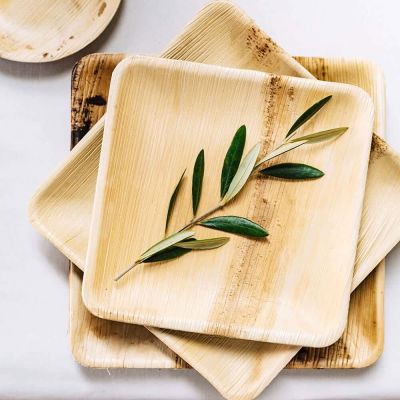 Square plate Palm leaf 15x15cm (200 pieces) [GB-DTW05360]