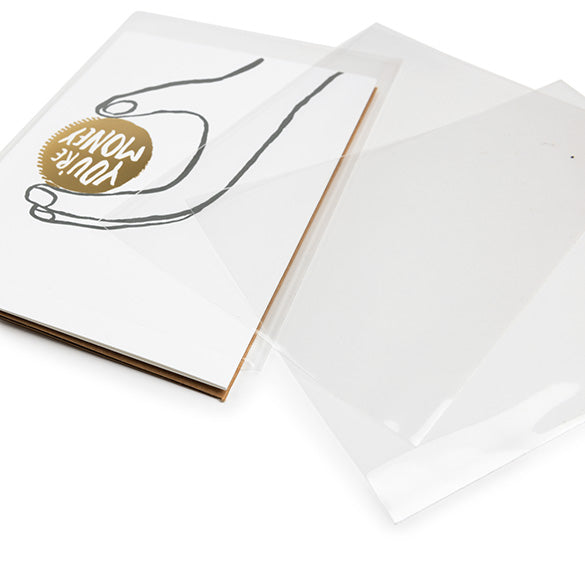 ECO-friendly Bags 9.7x13.2cm Premium and Sealable (100 pieces) [GC3X5NF]