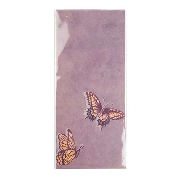 ECO-friendly Bags 11x24.3cm Premium and Sealable (100 pieces) [GC49NF]