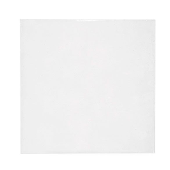 ECO-friendly Bags 17x16.7cm Sealable (100 pieces) [GC6X6MNF]