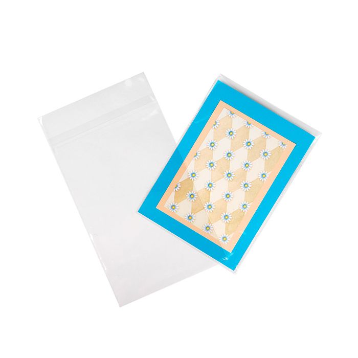 Eco-friendly Bags 15.2x24.1 cm Protective Closure (100 pieces) [GC69HPC]