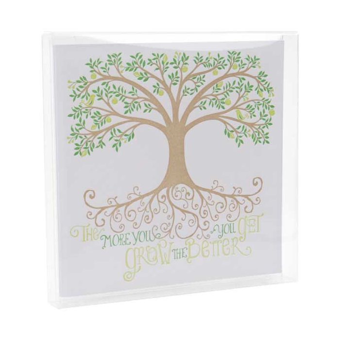 Plastic Gift Boxes 13x1.6x12.9cm Crystal Clear (25 pieces) [FB11]