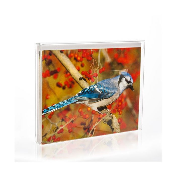 Plastic Gift Boxes 11.4x1.3x14.9cm Crystal Clear (25 pieces) [FB6]