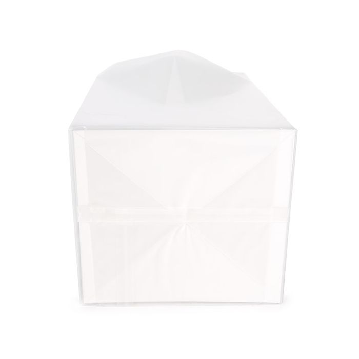 Frosted Flat Bottom Gusset Bags w/ Paper Insert 10,2x10,2x17,8 cm (100 pieces) [FFGPB9]