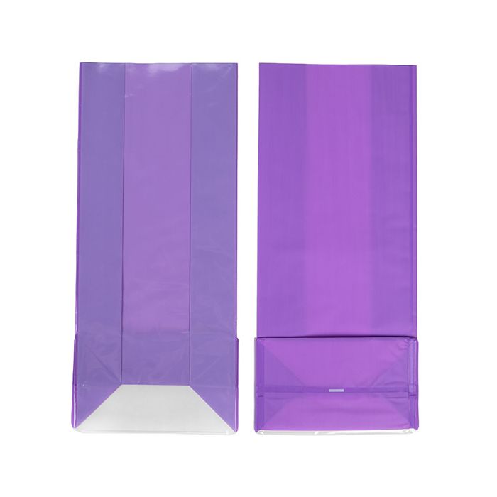 Block Bottom Bags Neon Purple w/ Paper Insert 12,7x7,6x30,5 cm (100 pieces) [FGPB1NP]