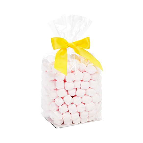 Block Bottom Bags Super Clear 10.2x7.6x25.4cm with paper insert (100 pieces) [FGPB5]