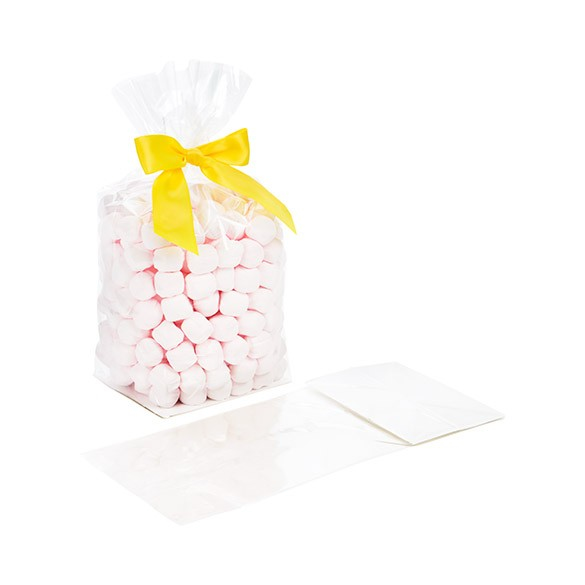 Block Bottom Bags Super Clear 10.2x7.6x25.4cm with paper insert (100 pieces) [FGPB5]
