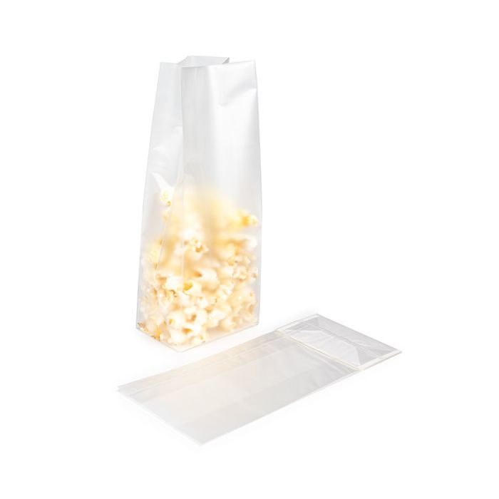 Block Bottom Bags w/ Paper Insert Frosted 12.7x7.6x30.5 cm (100 pieces) [FFGPB1]