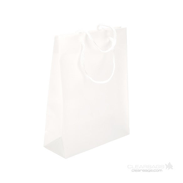 Gift Bags 22x7.6x27cm with carrying Cords (10 pieces) [G8FT1]