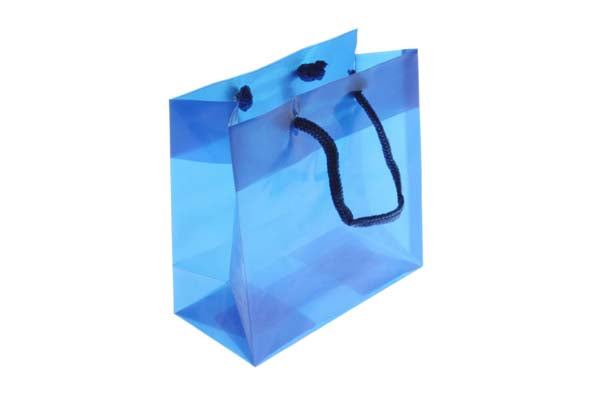 Gift Bags 16x7.6x16cm with carrying Cords (10 pieces) [G66BL1]