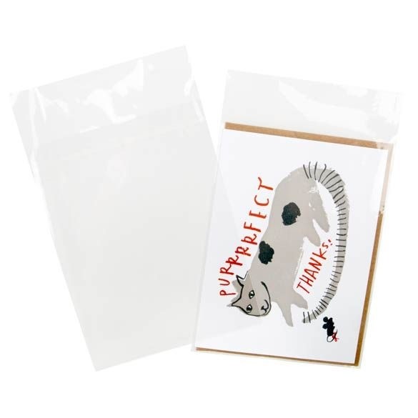 ECO-friendly Bags 12.5x16.5cm with Protective Closure (100 pieces) [GC65PC]