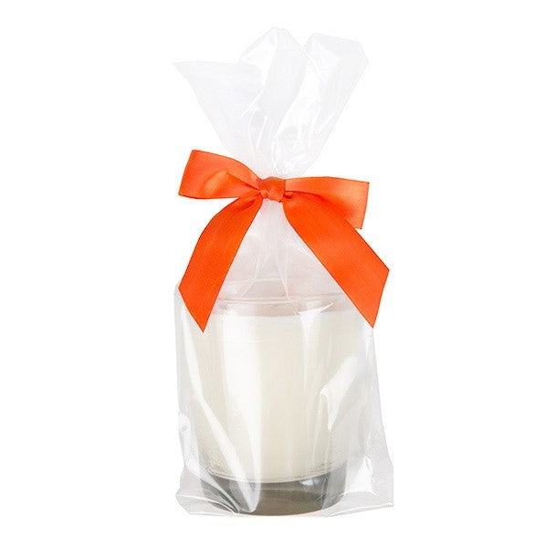 Plastic Bags 10.2x5.4x30.5cm with side gusset (100 pieces) [GB15]