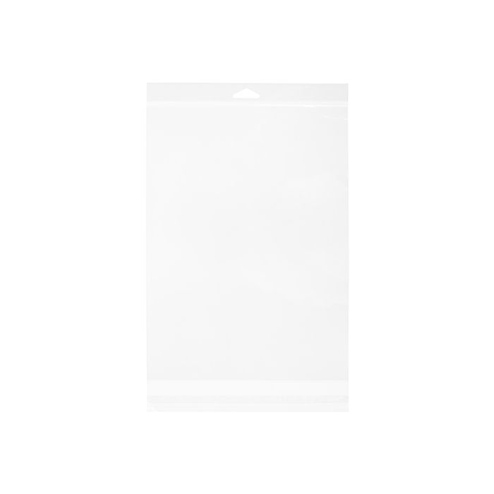 Headerbags 22x30.3cm Reclosable and Crystal Clear (100 pieces) [HBA4]