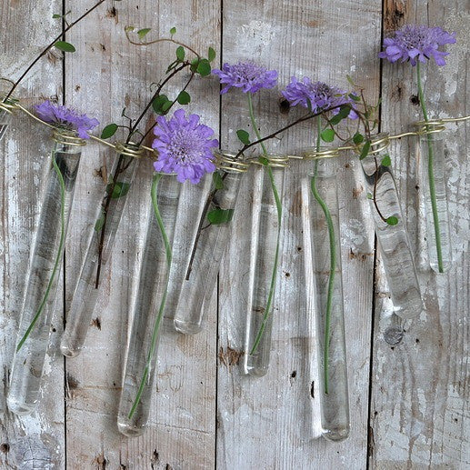 Glass Test tube 2cm diameter 20cm high, with ring (set of 12 pcs) [IFS-29203]