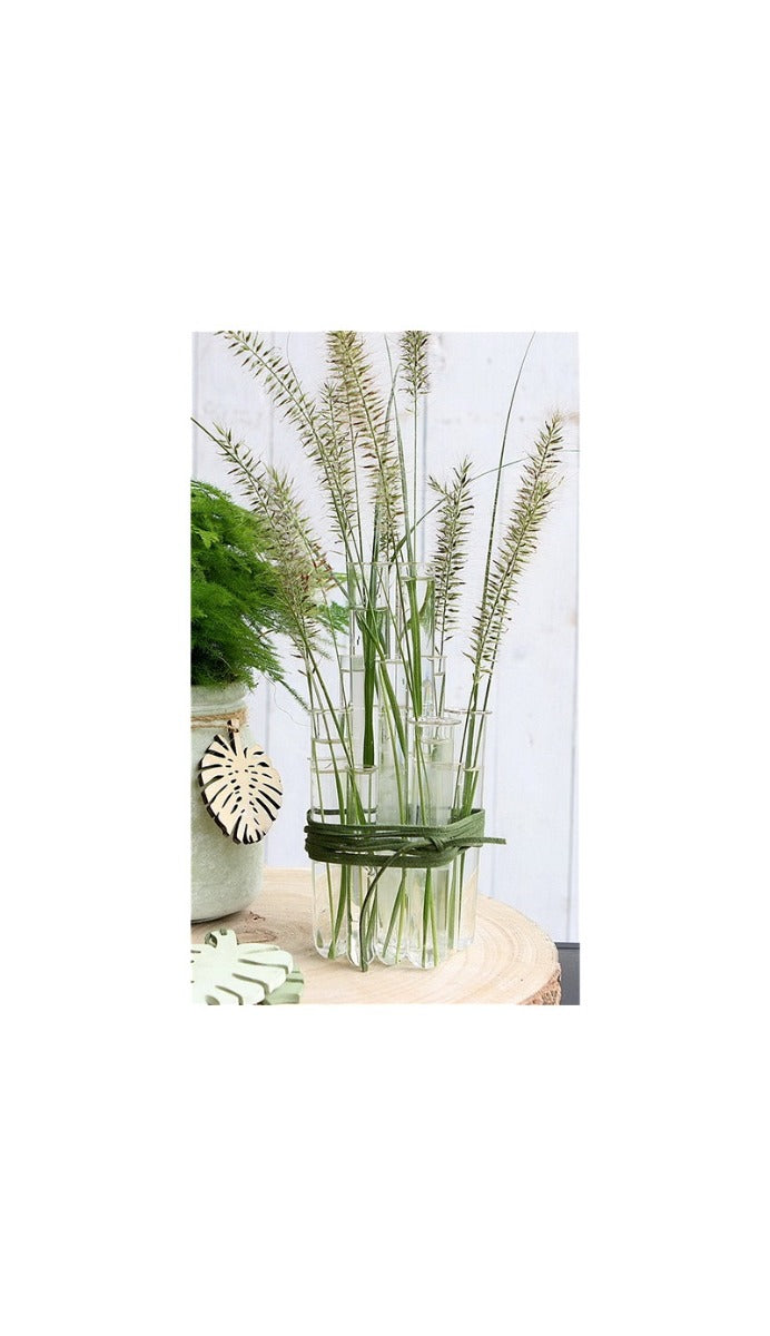 Glass Test tube 2cm diameter 20cm high, with ring (set of 12 pcs) [IFS-29203]