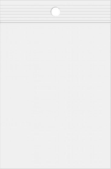 Grip Seal Bags with Hang hole 33x33cm Crystal Clear PP 100 micron