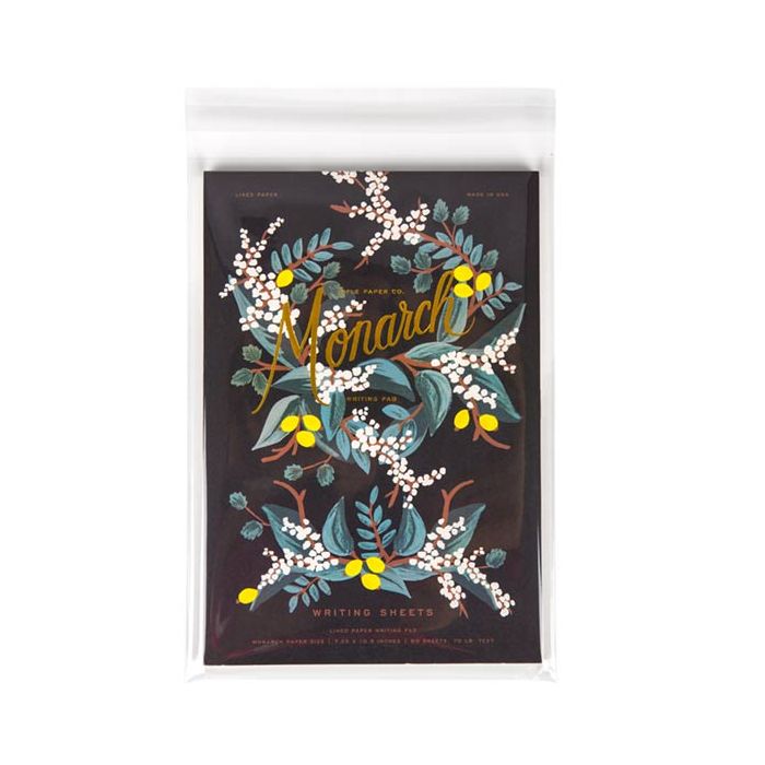 Plastic Bags 21.3x30.3cm Transparent and reclosable (100 pcs) [KO-30159]