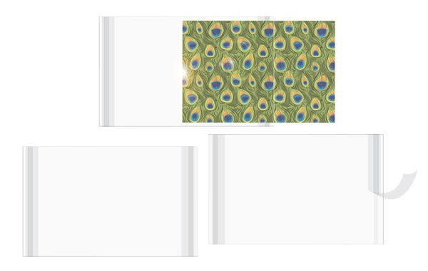 Photo Display Pouches 10.8x15.6cm (100 pieces) [CPM4X6]