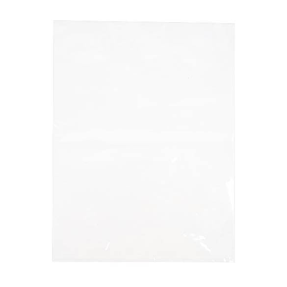 Plastic Bags 22.9x30.5cm Clear Polypropylene (100 pieces) [FP1H912]
