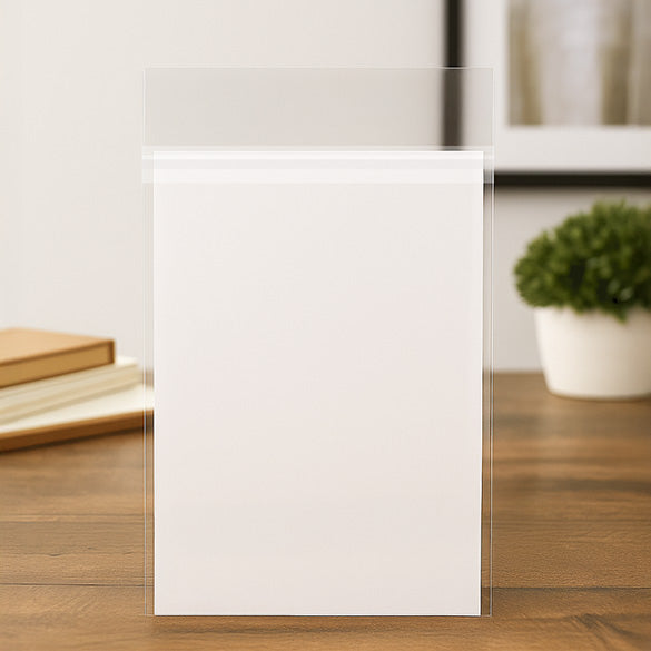 Plastic Bags 24.1x31.8cm Premium with Protective Closure (100 pieces) [PR9H12H]
