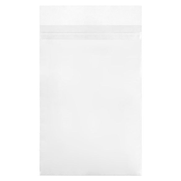 Plastic Bags for Comic Books 17.5x26 + 3cm with Protective Closure (100 pieces [COMIC1PC]