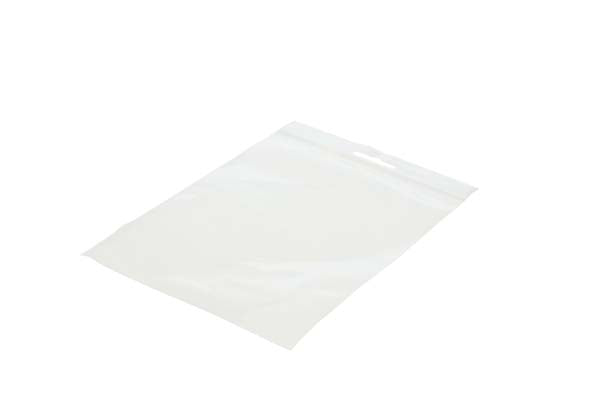 Grip Seal Bags with Euroslot 18x18 Crystal Clear PP 50 micron (100 pieces) [ZE77]