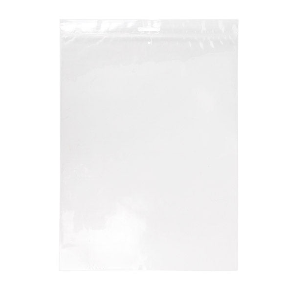 Grip Seal Bags with Euroslot and Vent-hole 23x30.5cm Crystal Clear PP 50 micron (100 pieces) [ZE912V]