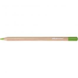 Edugreen Jumbo coloured pencils, light green, lead 5 mm, 10 pc/ 1 pack [HOB-408263]