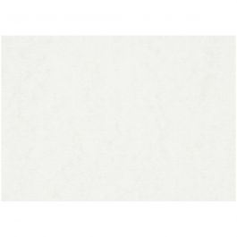 Watercolour paper, white, A2, 420x600 mm, 200 g, 100 sheet/ 1 pack [HOB-22404]