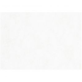 Watercolour paper, white, A2, 420x600 mm, 300 g, 100 sheet/ 1 pack [HOB-22414]