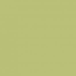 Card, lime green, 460x640 mm, 210-220 g, 25 sheet/ 1 pack [HOB-22822]