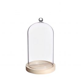 Glass dome with glass knob with wooden base Ø14 h.23.5 cm (1 pc) [IFS-29314]