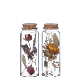 Glass tube with 2 different dried flowers Ø4.5cm (12 pcs.) [IFS-29346]