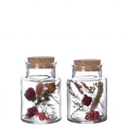 Glass medicine bottle with 2 different dried flowers Ø7cm (12 pcs.) [IFS-29394]