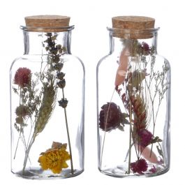 Glass medicine bottle with 2 different dried flowers Ø8cm (12 pcs.) [IFS-29395]