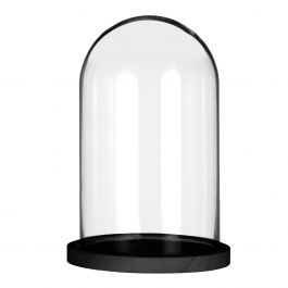 Glass bell jar with black wooden base Ø17cm (1 pcs.) [IFS-29825]