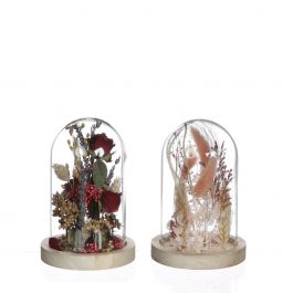 Glass bell jar with dried flowers pink Ø12cm (1 pcs.) [IFS-29844]