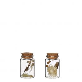 Glass tube with several dried flowers natural 7.5cm high (12 pcs.) [IFS-30345]