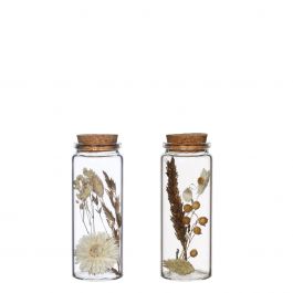 Glass tube with several dried flowers natural 12.5cm high (12 pcs.) [IFS-30346]