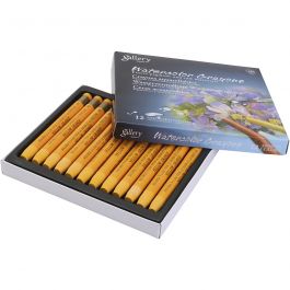 orange, 12 pc/ 1 pack [HOB-427324]