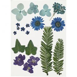 Pressed Flowers and leaves, blue, 1 pack [HOB-504472]