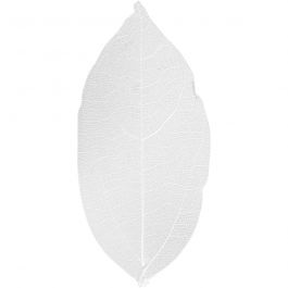 Skeleton leaves, white, L: 6-8 cm, 20 pc/ 1 pack [HOB-504491]