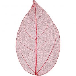 Skeleton leaves, red, L: 6-8 cm, 20 pc/ 1 pack [HOB-504495]