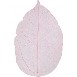 Skeleton leaves, light red, L: 6-8 cm, 20 pc/ 1 pack [HOB-504496]