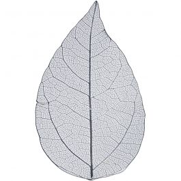 Skeleton leaves, blue, L: 6-8 cm, 20 pc/ 1 pack [HOB-504497]