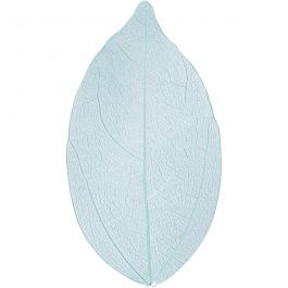 Skeleton leaves, light blue, L: 6-8 cm, 20 pc/ 1 pack [HOB-504498]